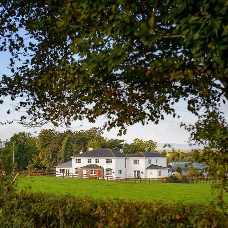 Ballindrum Farm B&B Athy Exterior foto