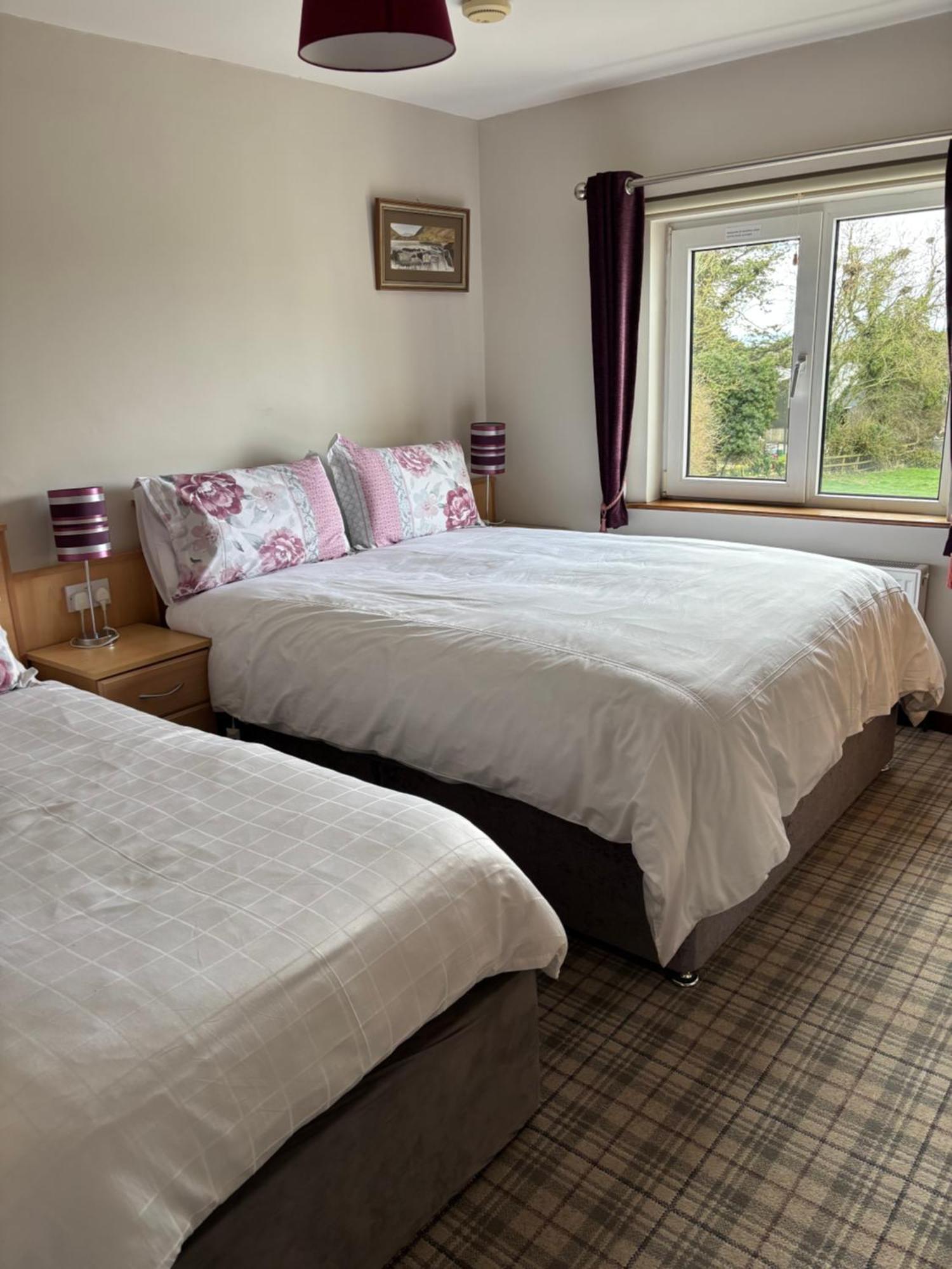 Ballindrum Farm B&B Athy Exterior foto